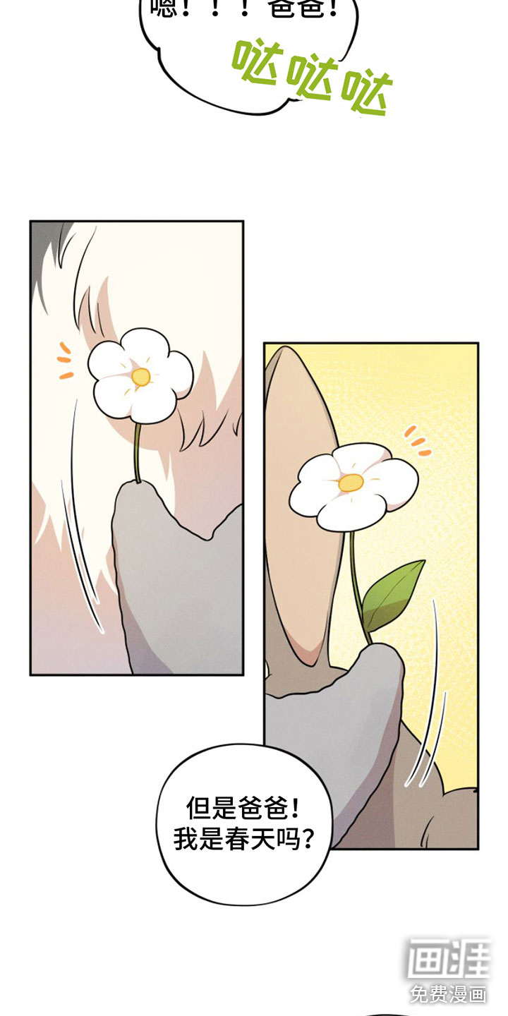 萌兔来袭第9话图