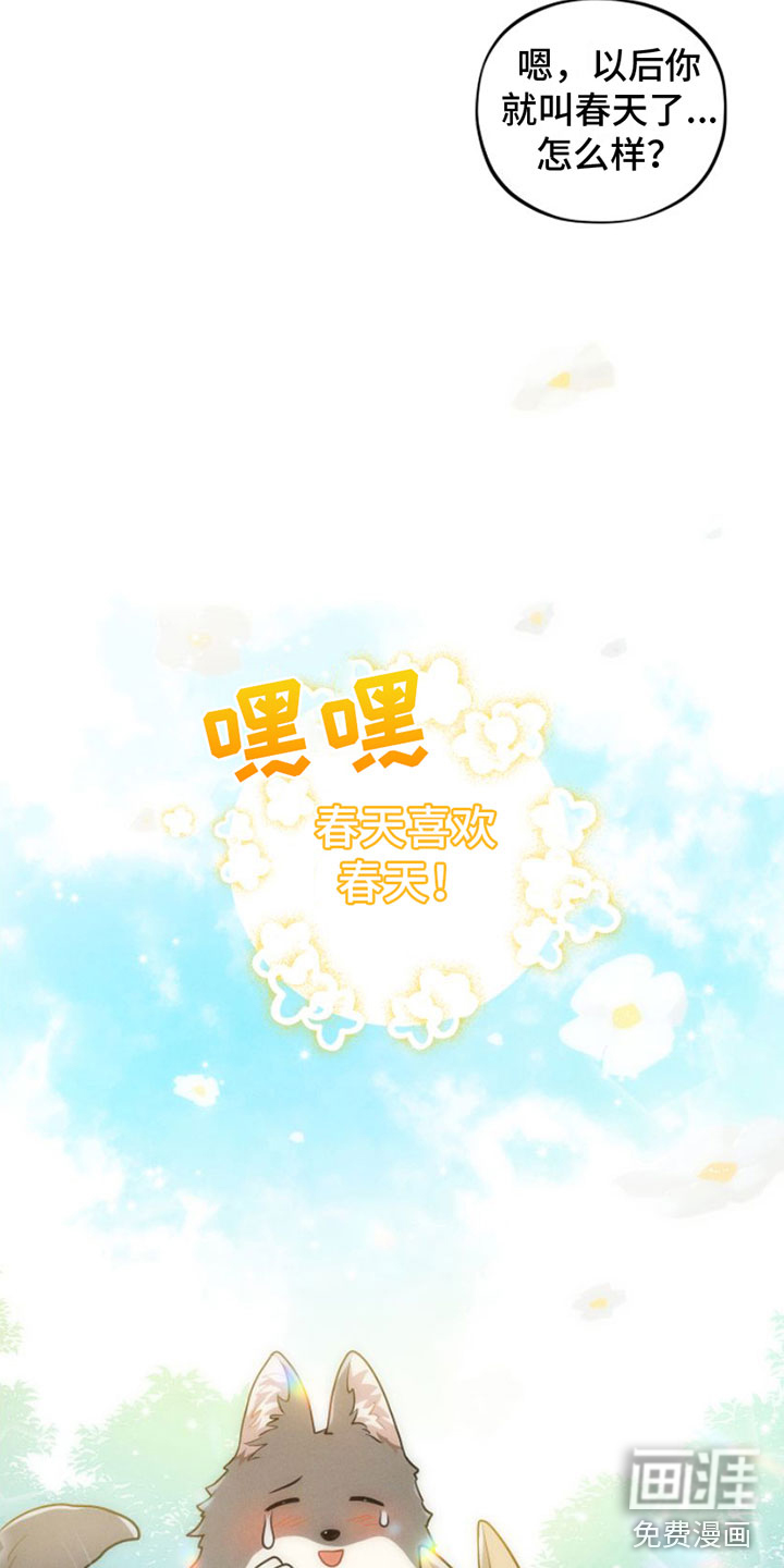 萌兔来袭第9话图