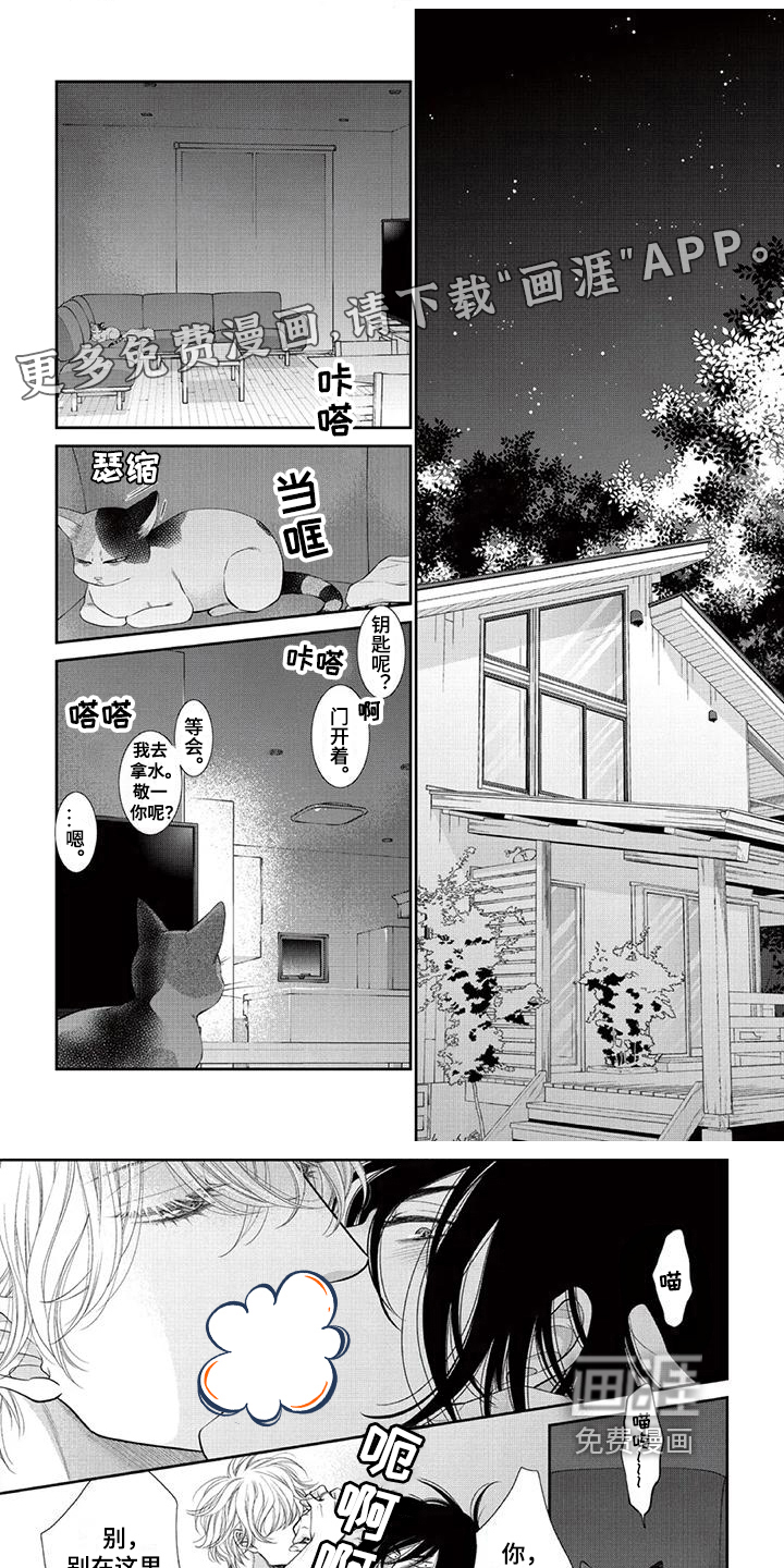 猫系男友溢出第12话图