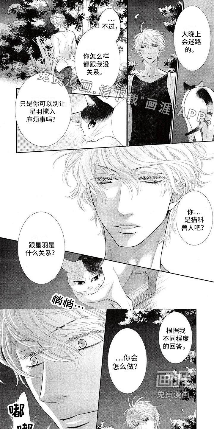 猫系男友溢出第9话图