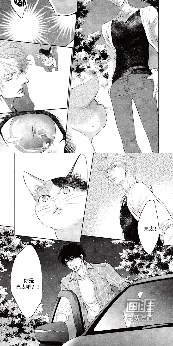 猫系男友溢出第9话图