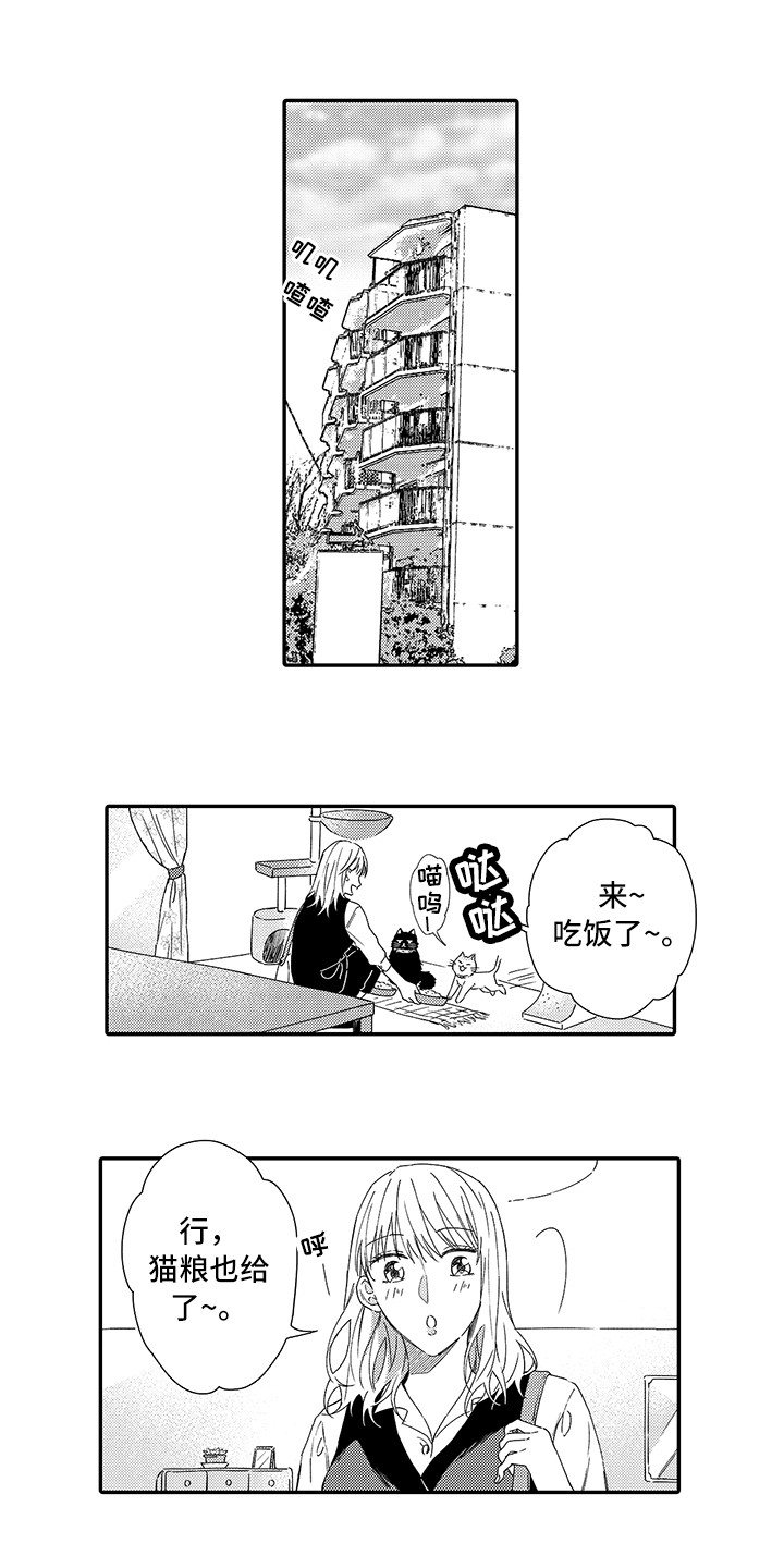 猫咪之家第1话图