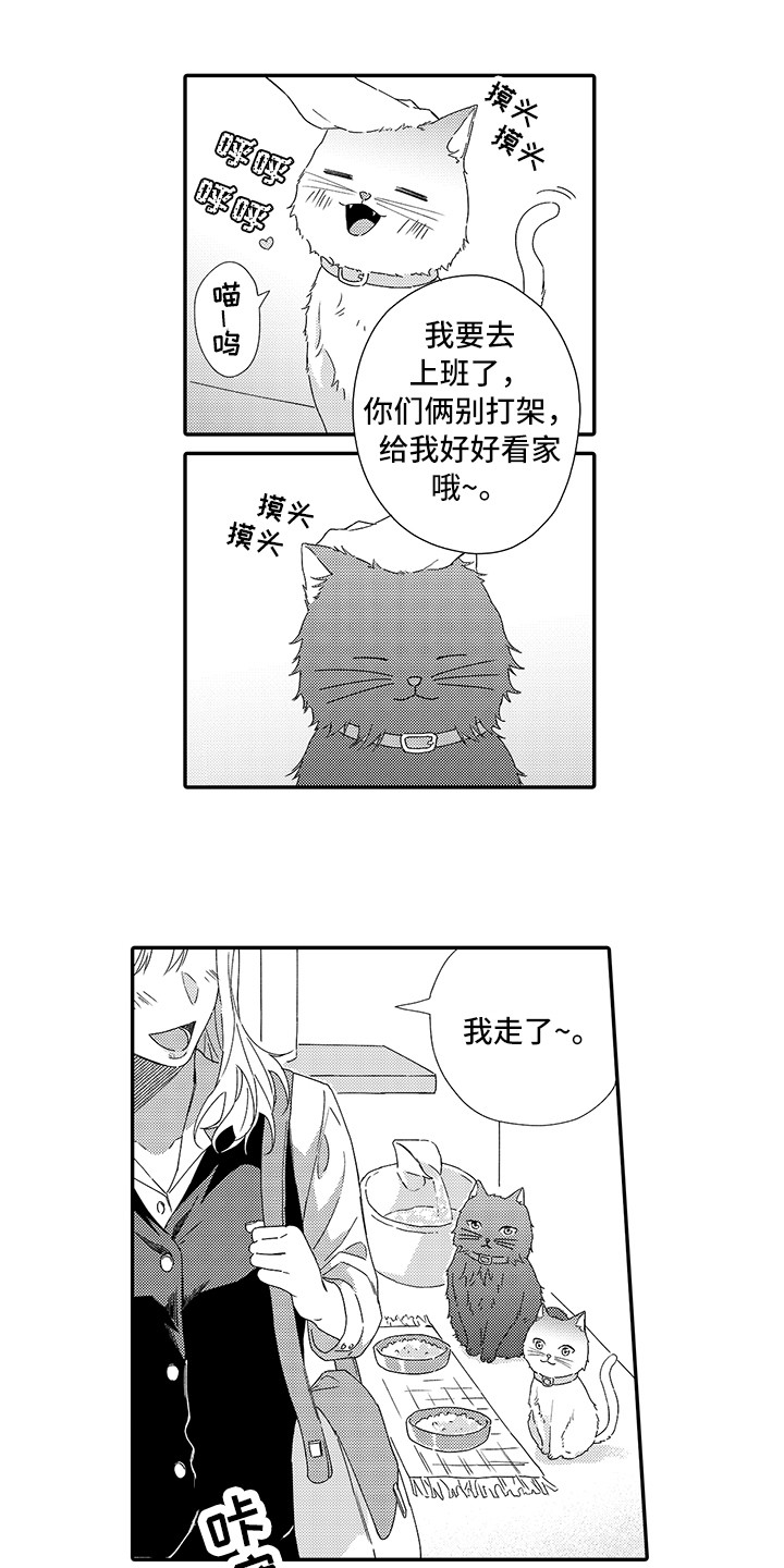 猫咪之家第1话图