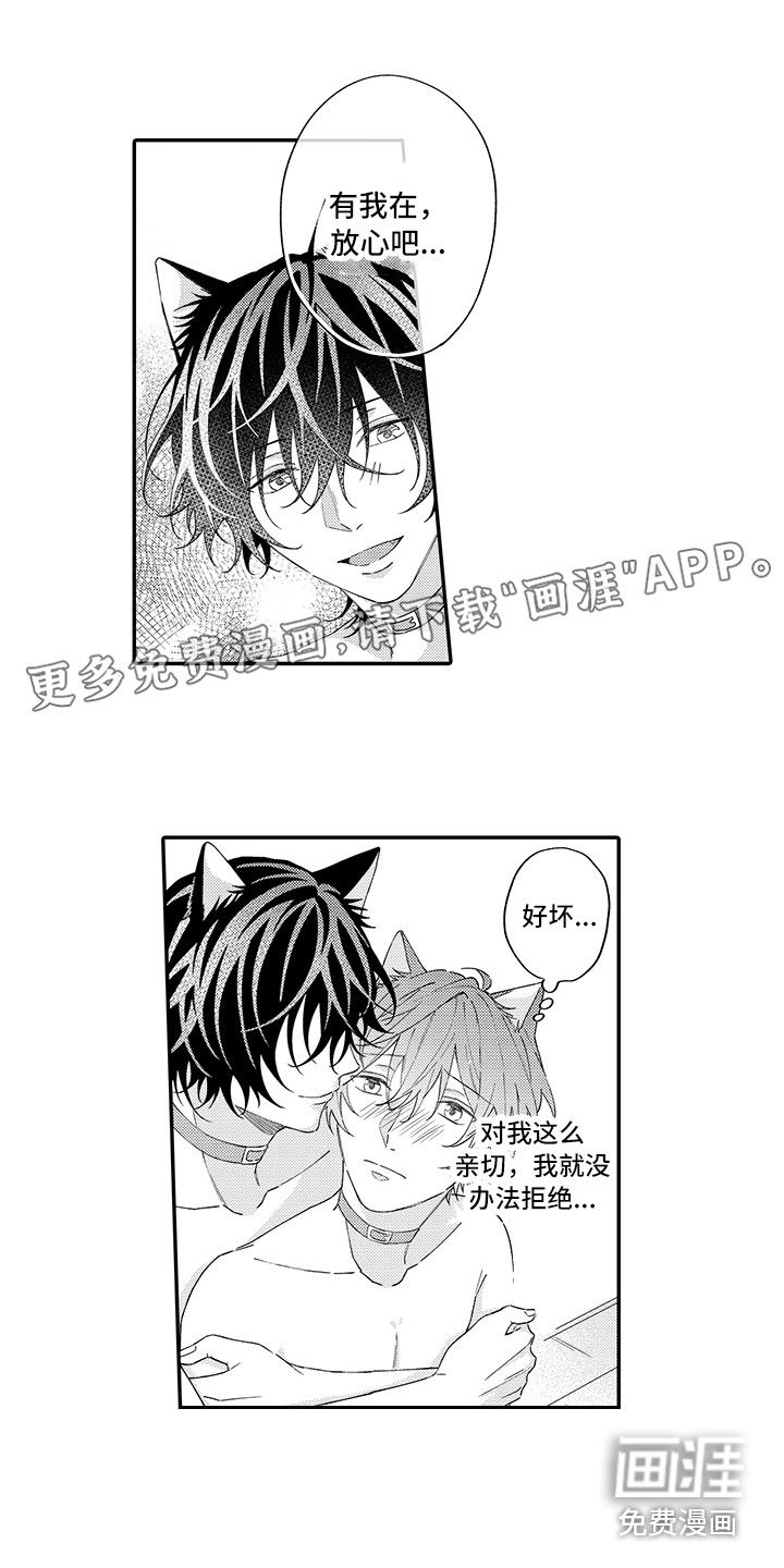 猫咪之家第11话图