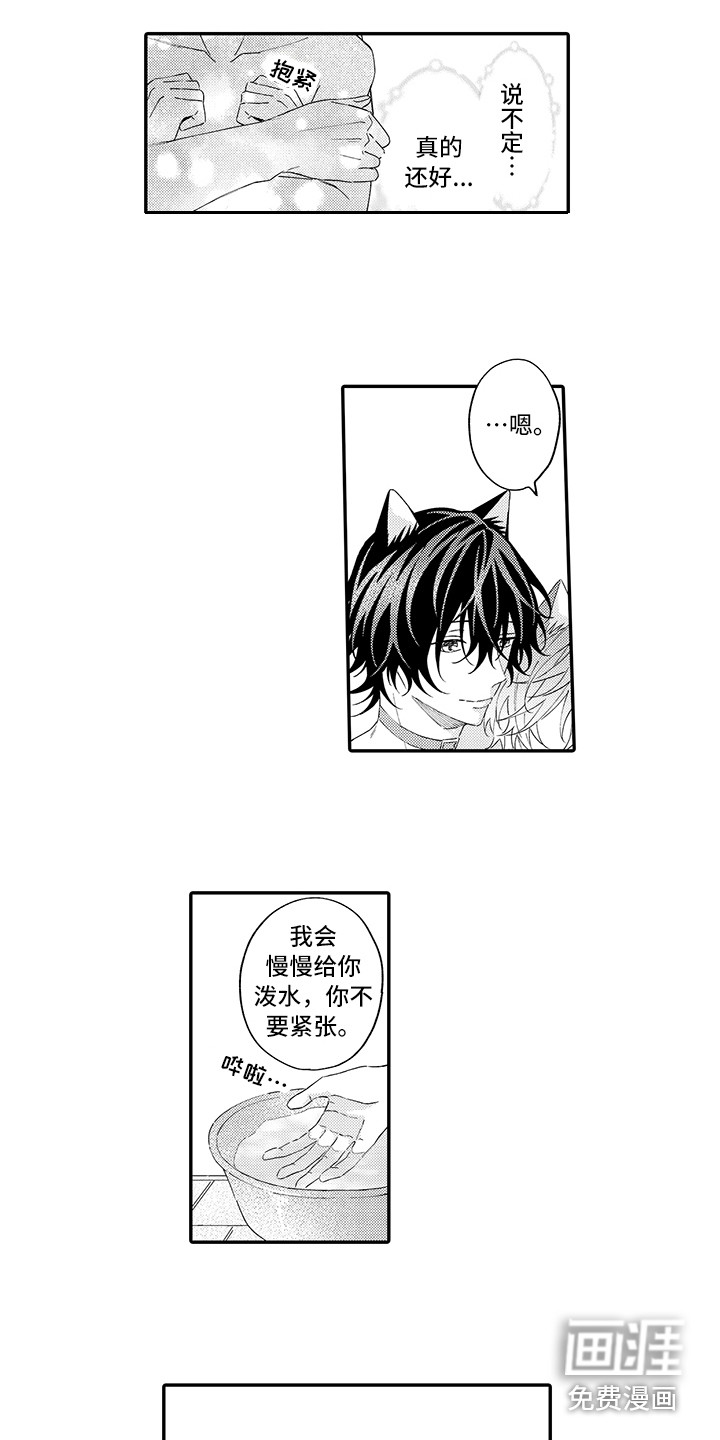 猫咪之家第11话图