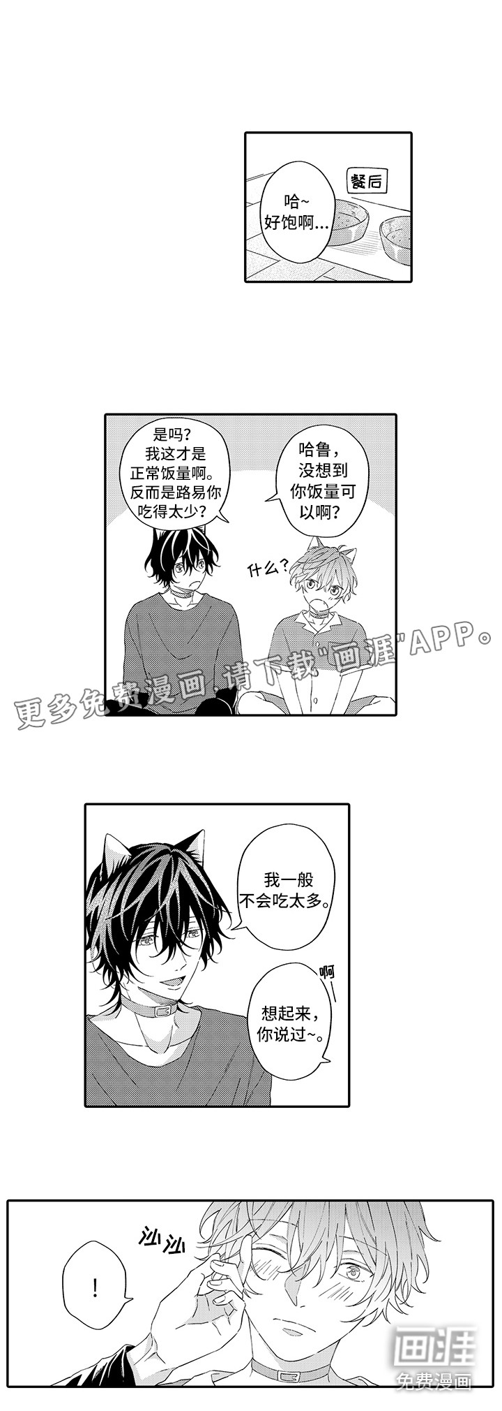 猫咪之家第12话图