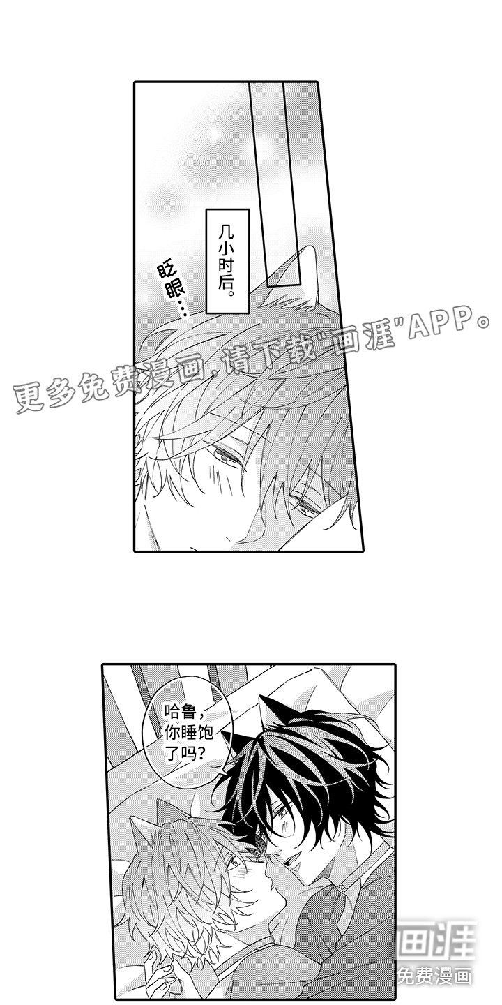 猫咪之家第13话图