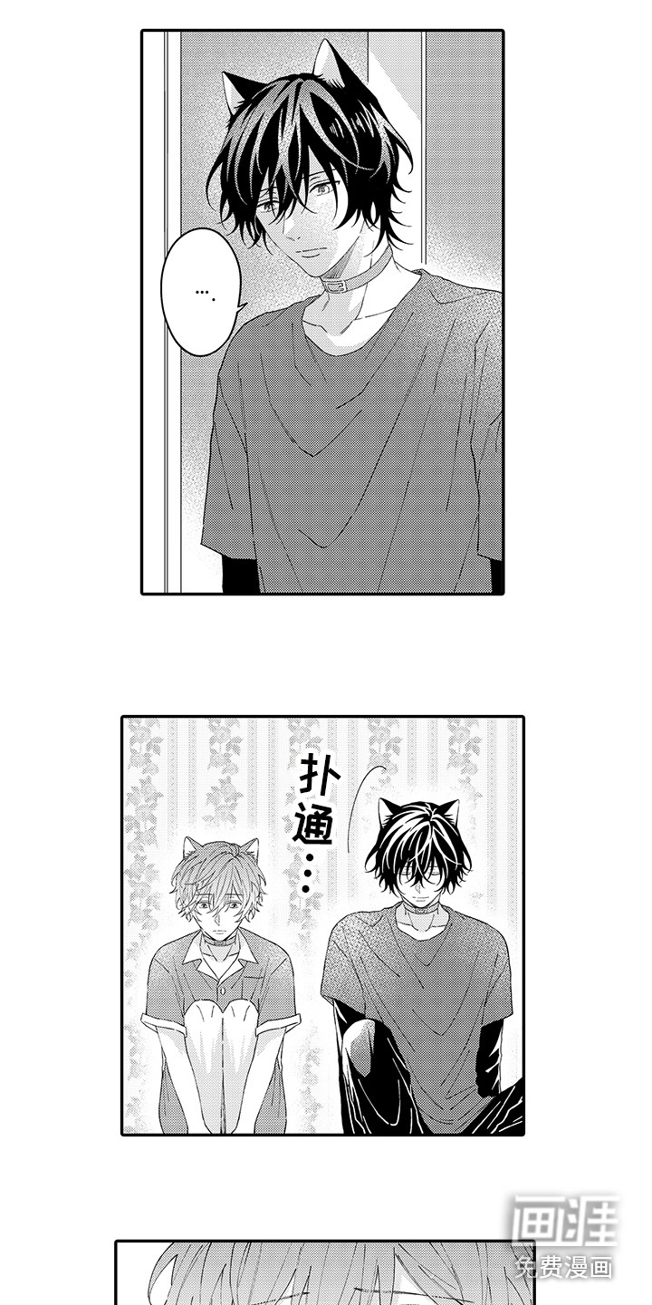 猫咪之家第14话图