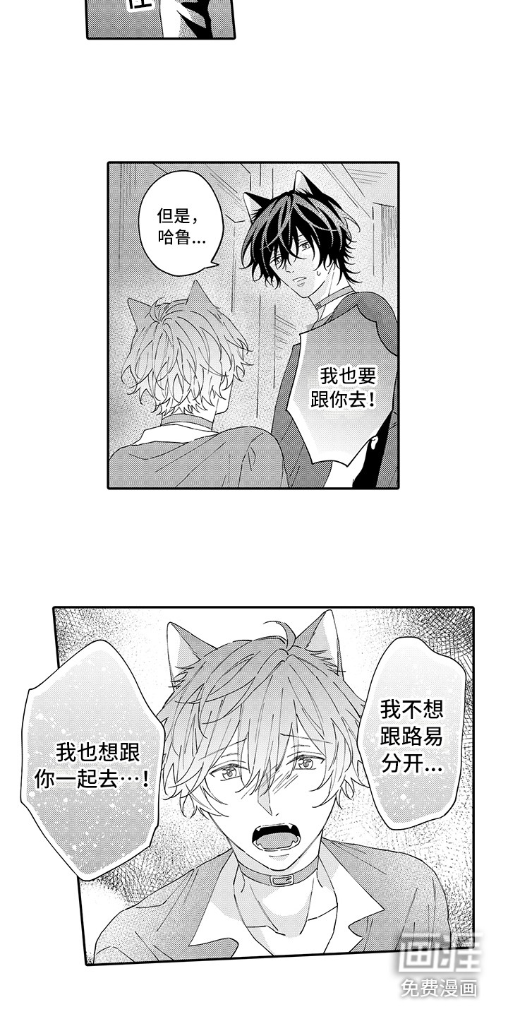 猫咪之家第14话图