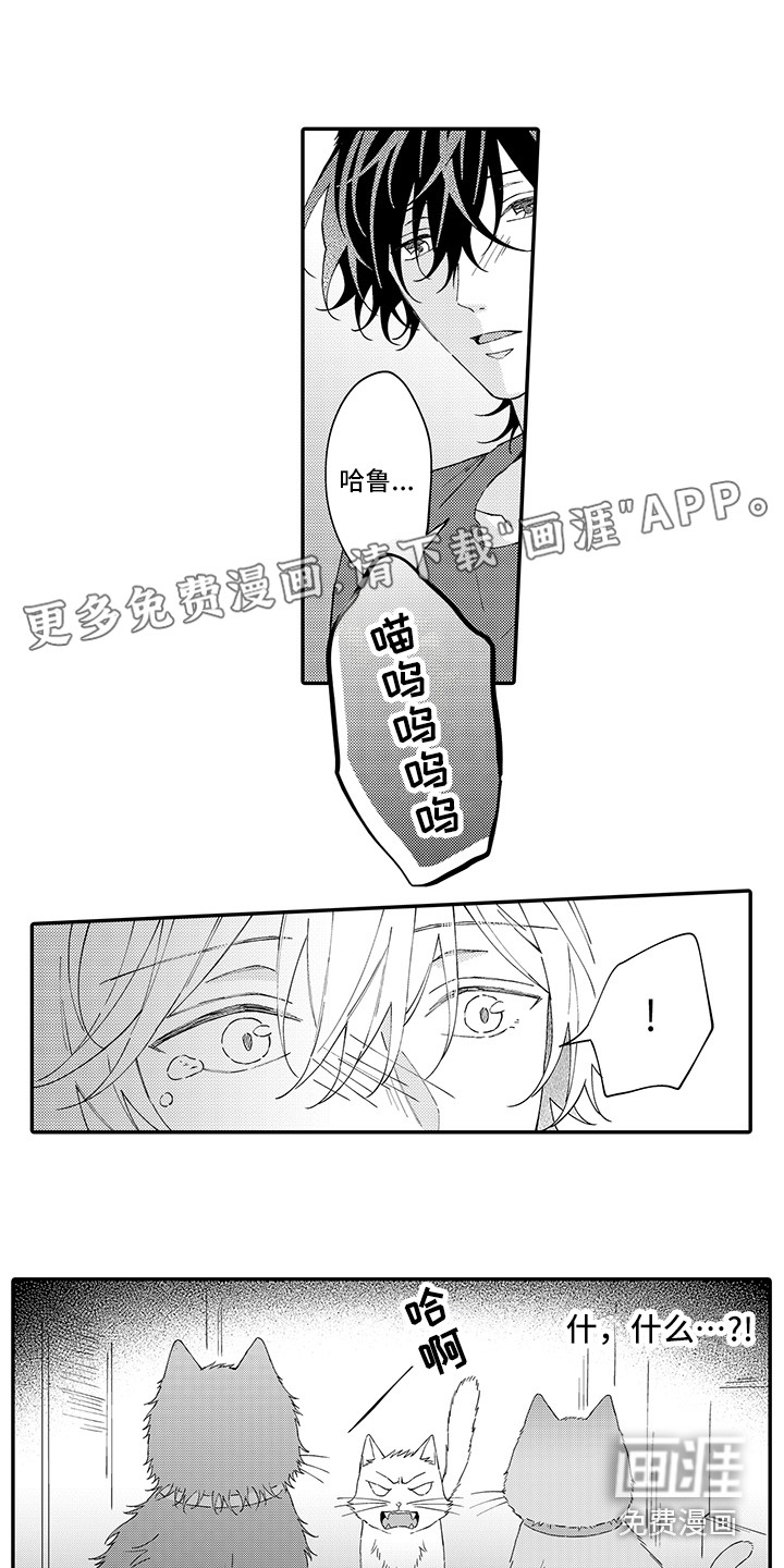 猫咪之家第15话图