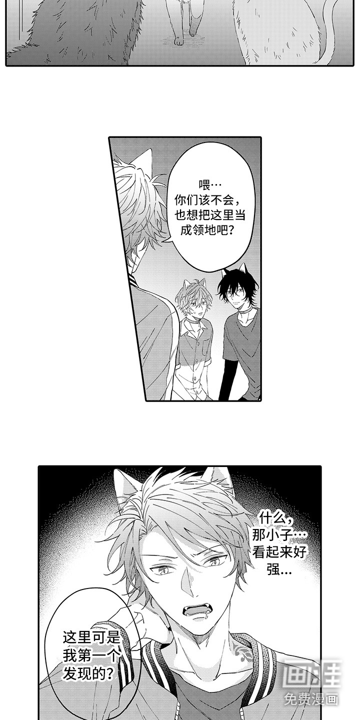 猫咪之家第15话图