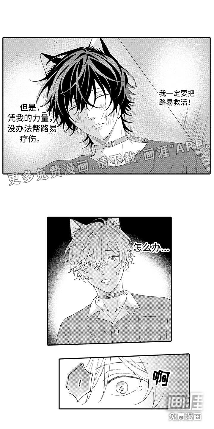 猫咪之家第17话图