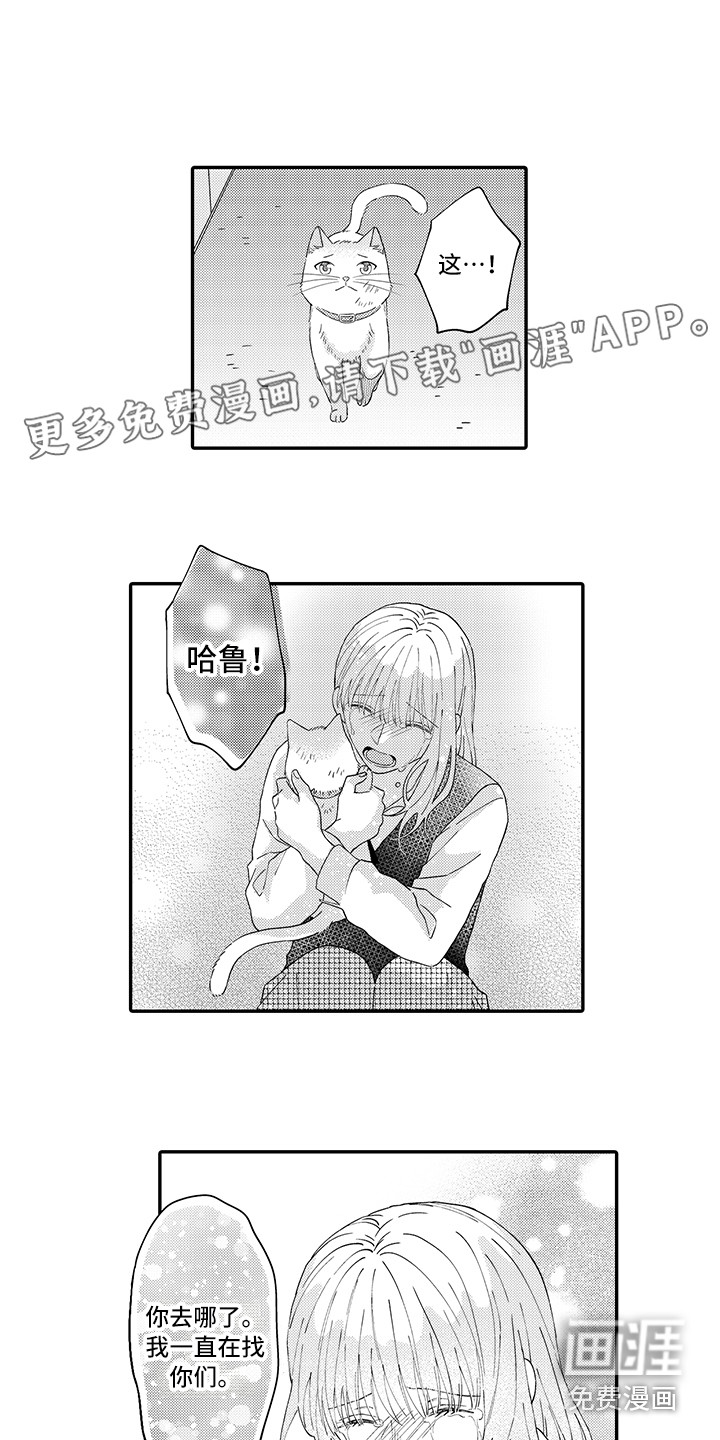 猫咪之家第18话图