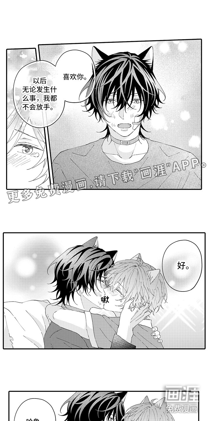 猫咪之家第19话图