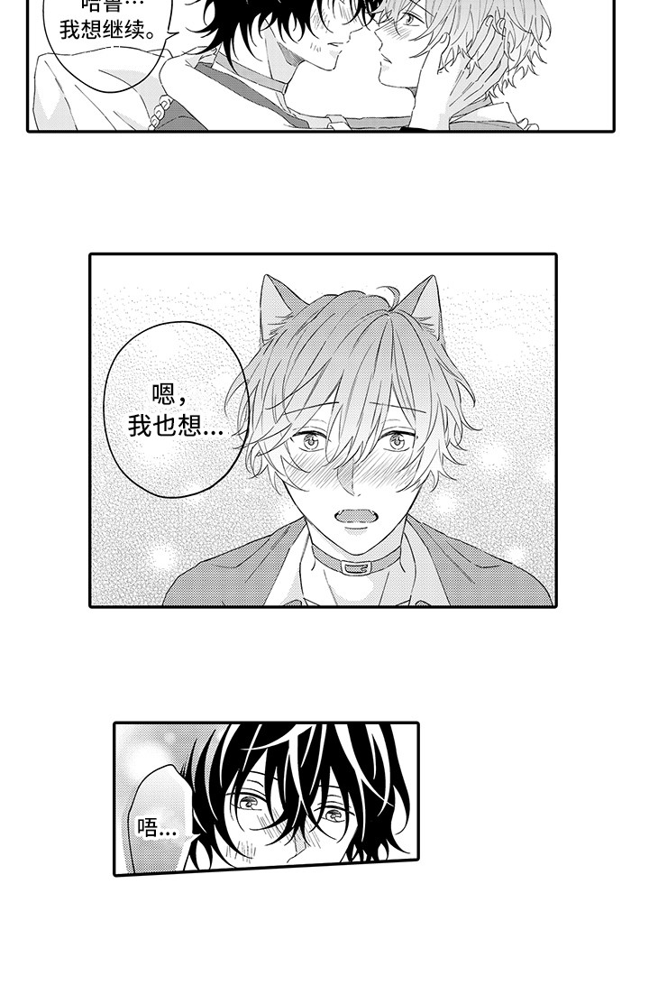 猫咪之家第19话图