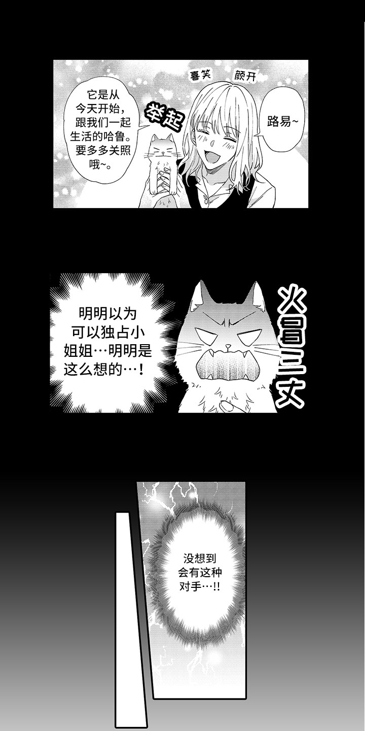 猫咪之家第2话图