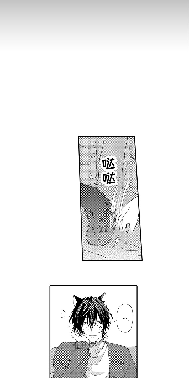 猫咪之家第2话图