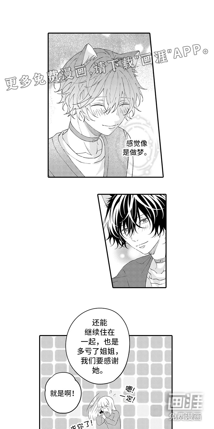 猫咪之家第20话图