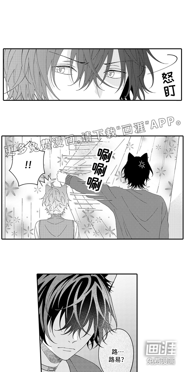 猫咪之家第21话图