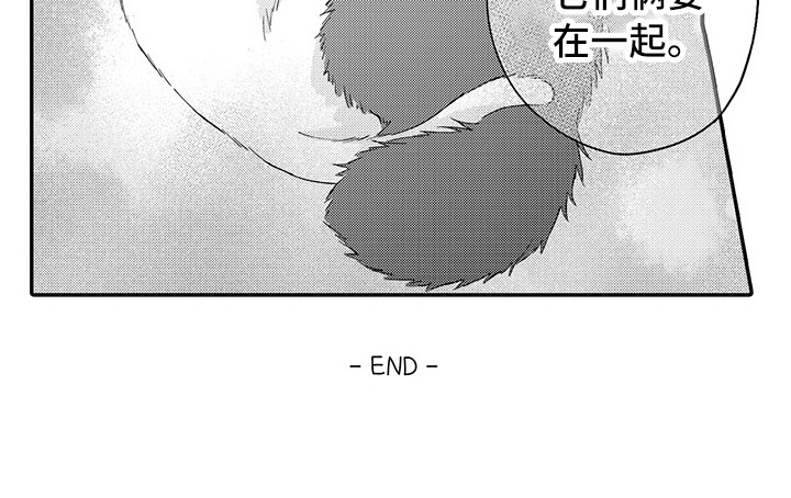 猫咪之家第21话图