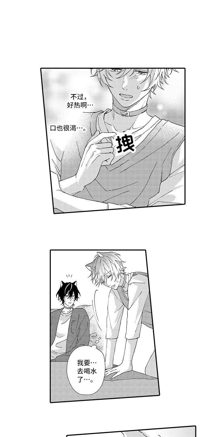 猫咪之家第3话图