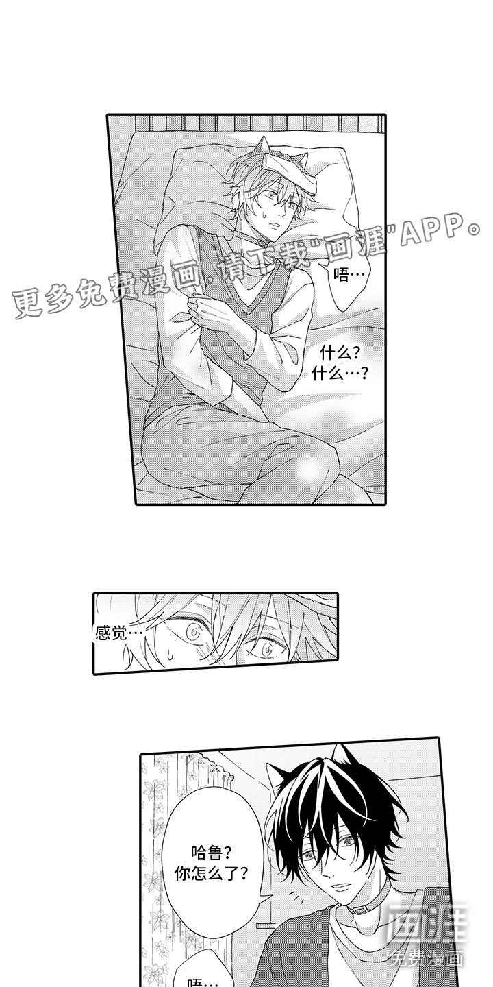 猫咪之家第4话图