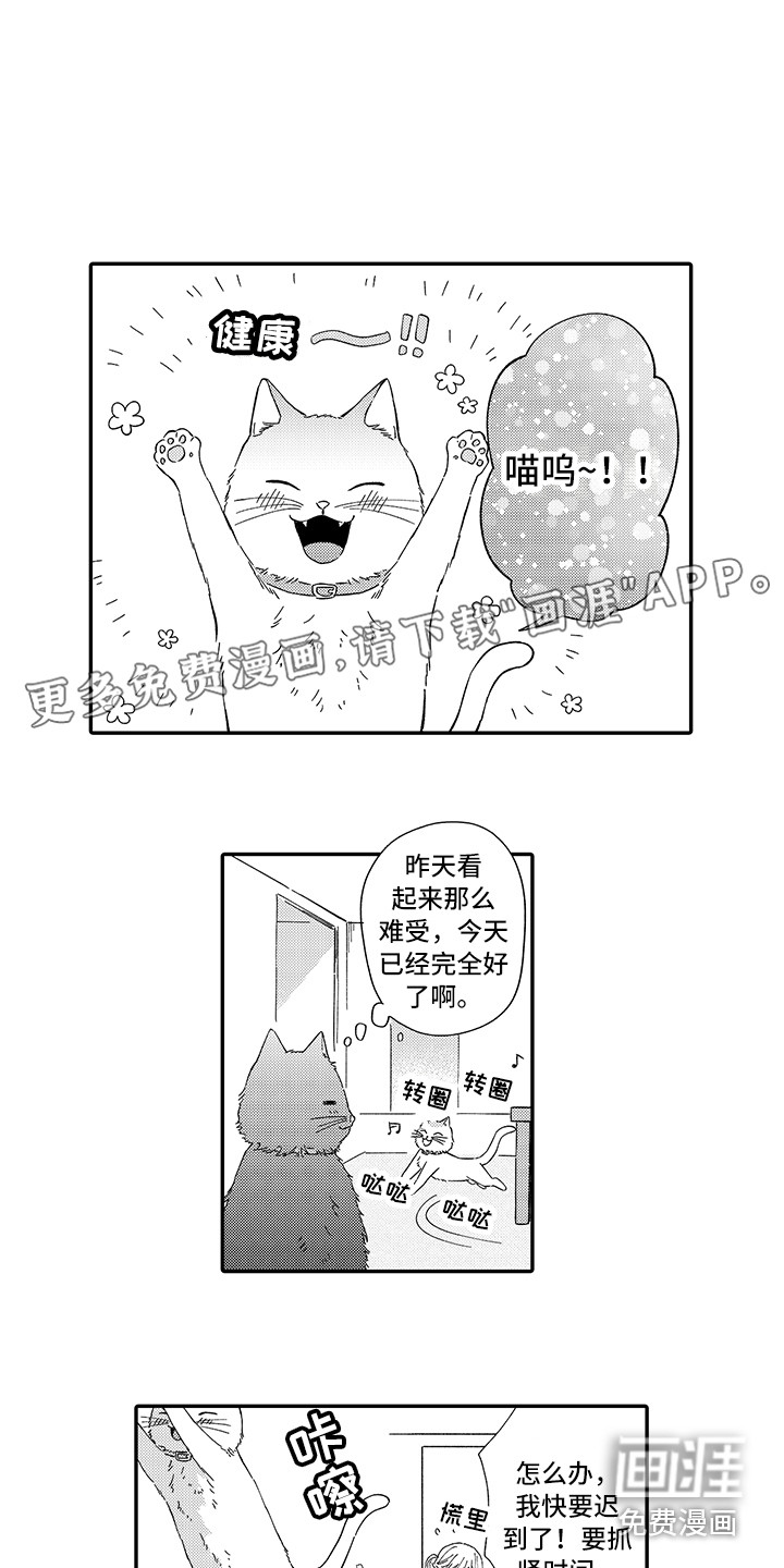 猫咪之家第5话图
