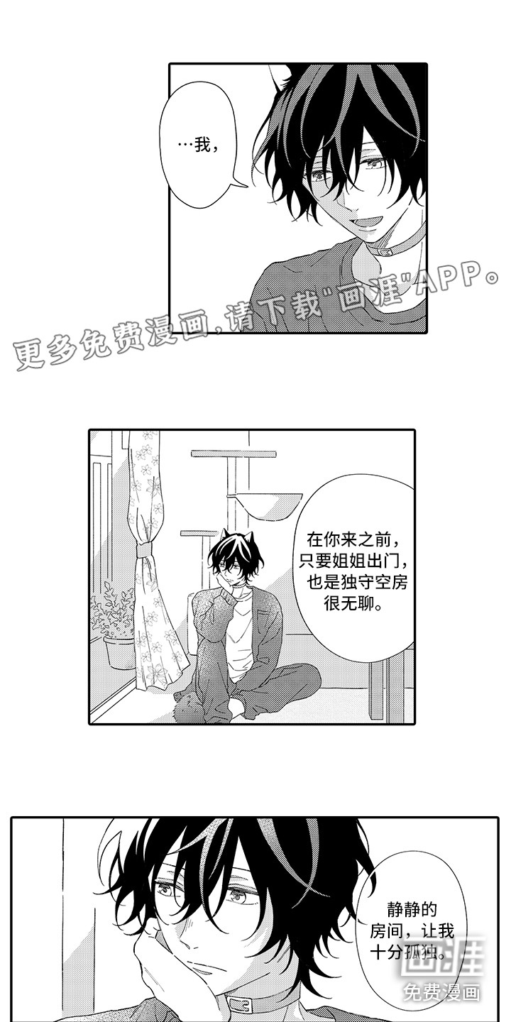 猫咪之家第6话图