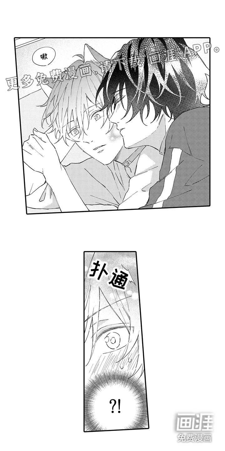 猫咪之家第7话图