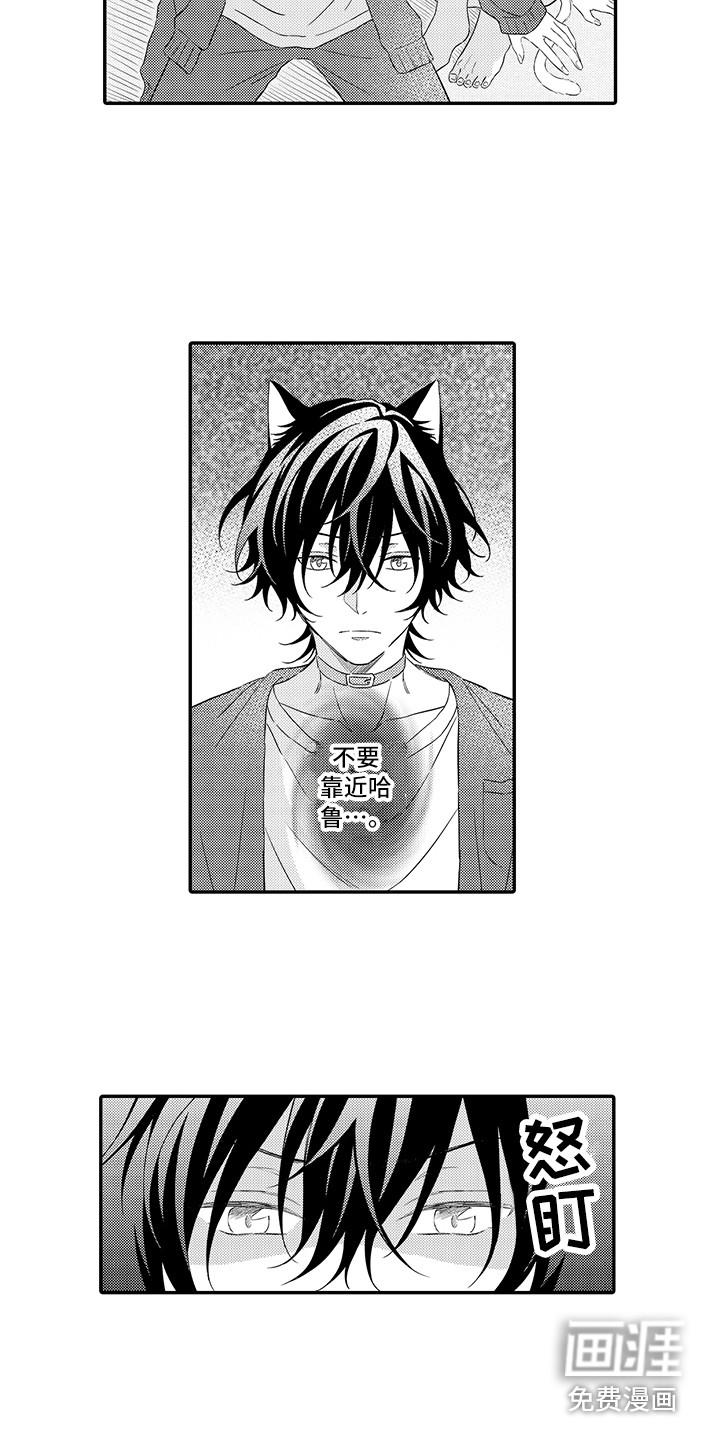 猫咪之家第7话图