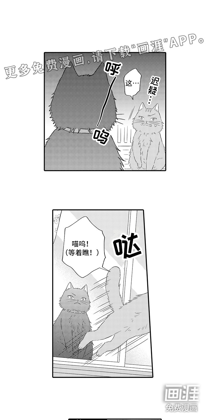 猫咪之家第8话图