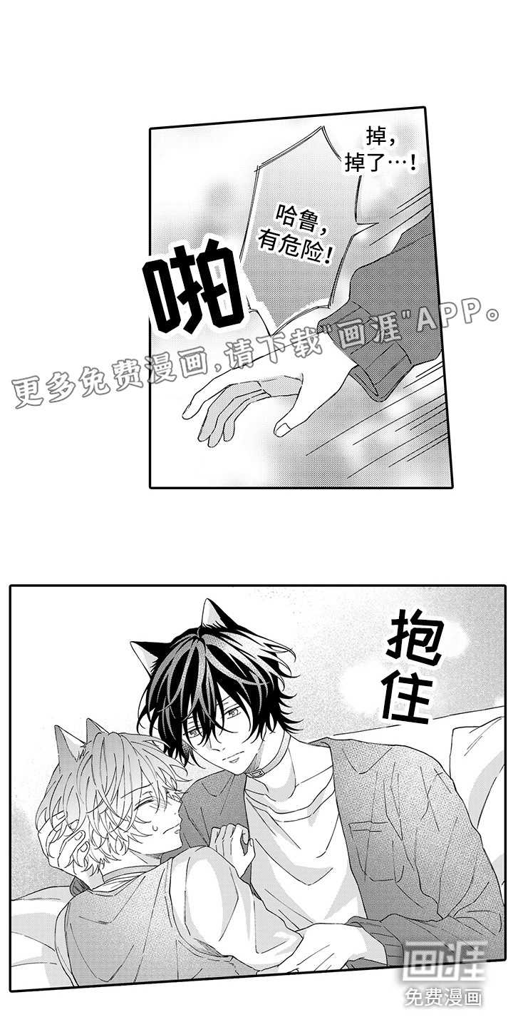 猫咪之家第9话图