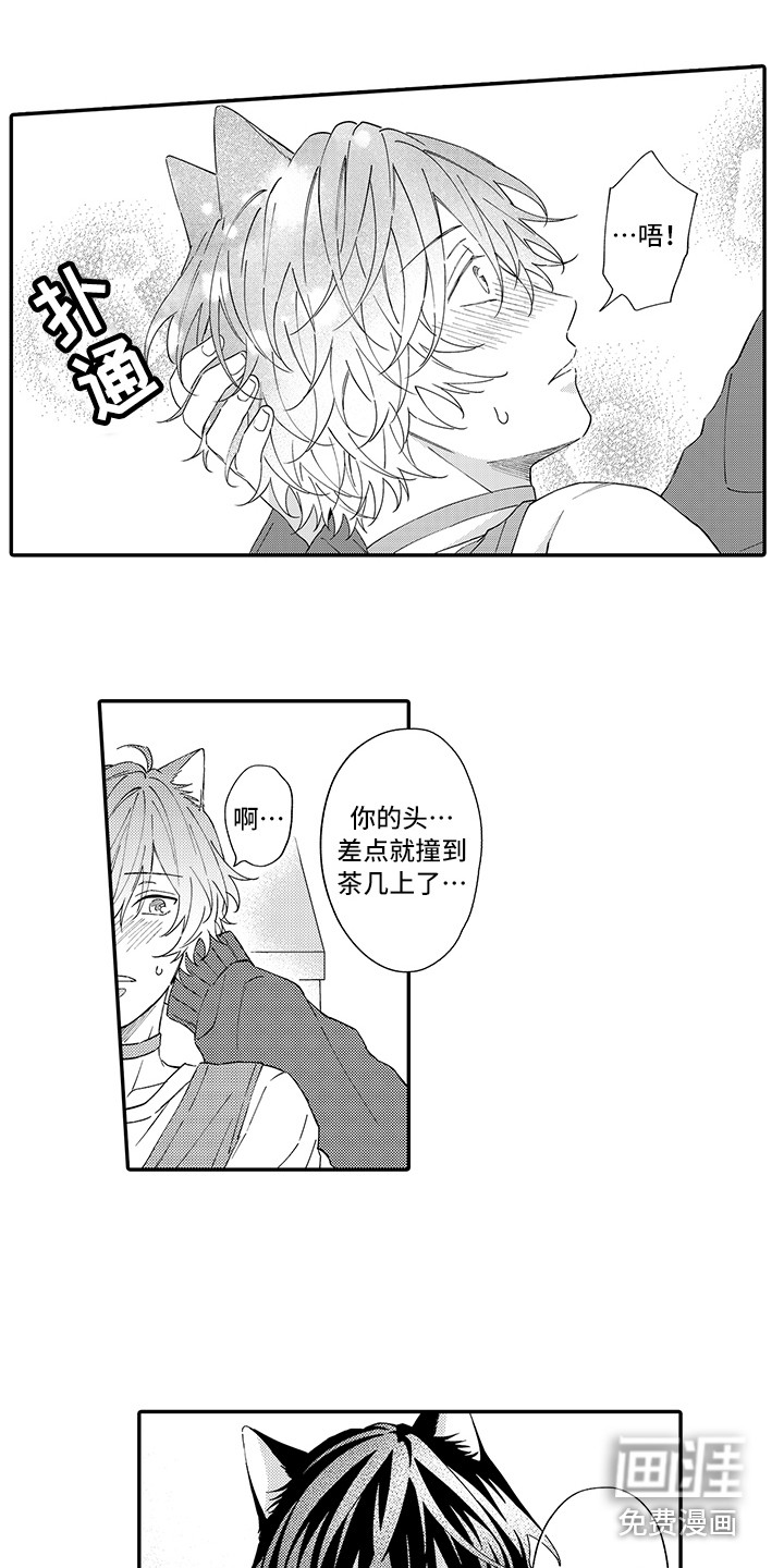 猫咪之家第9话图