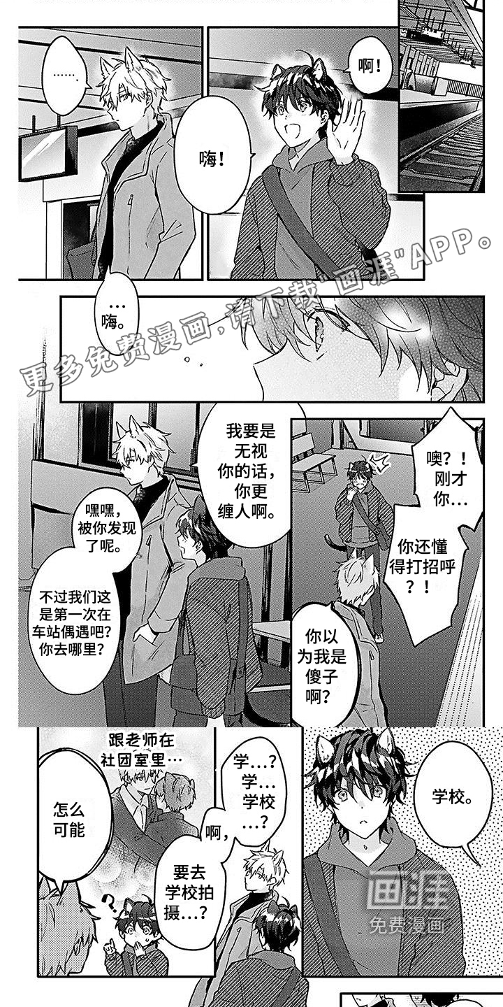 猫会梦见王子吗第10话图