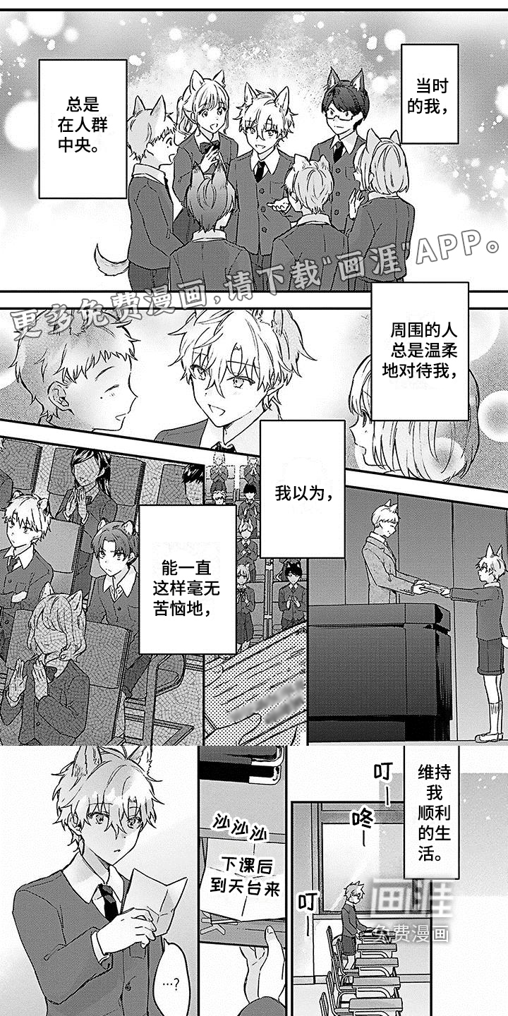 猫会梦见王子吗第13话图