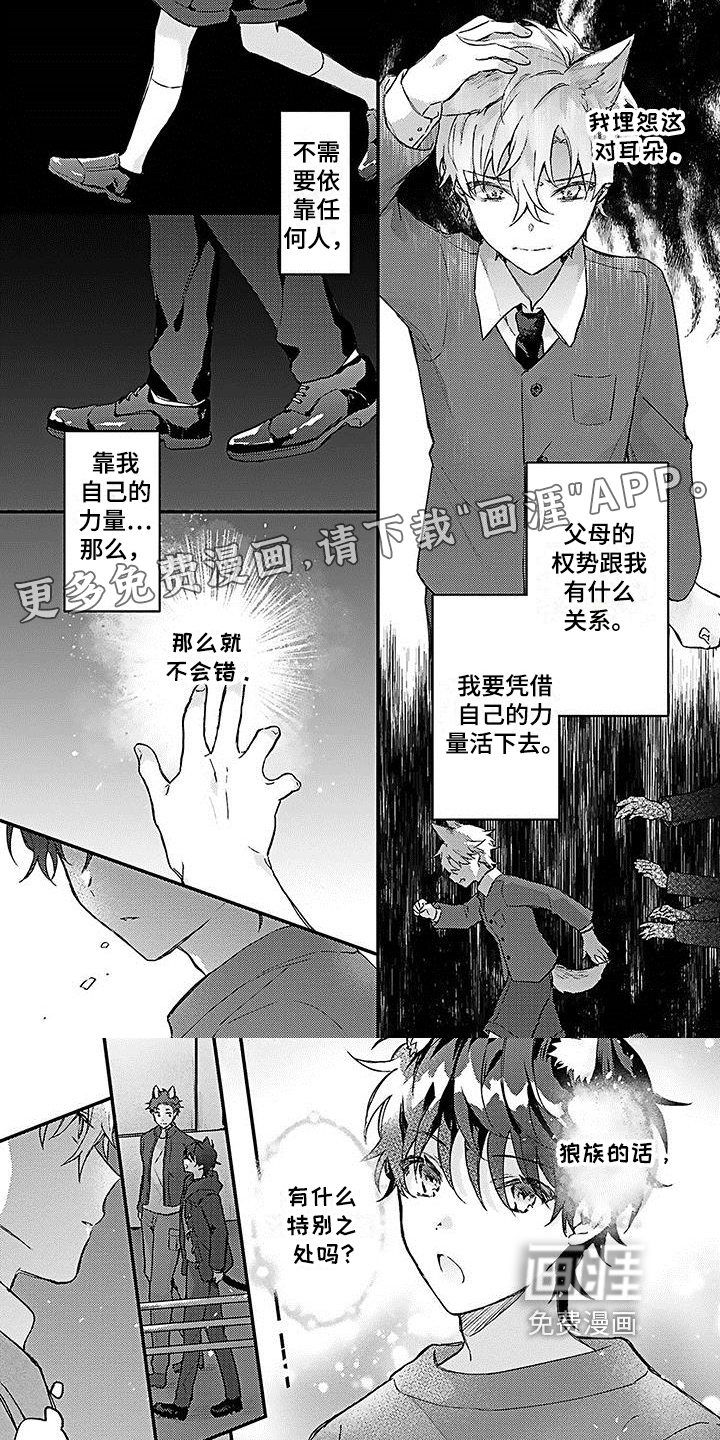 猫会梦见王子吗第14话图