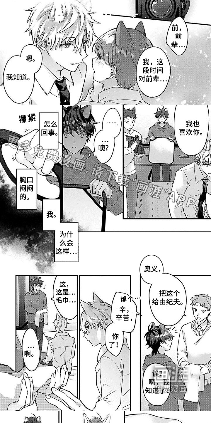 猫会梦见王子吗第15话图