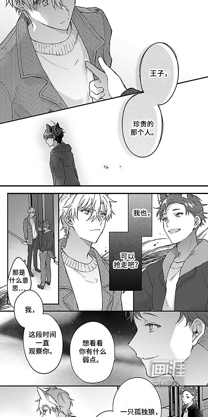 猫会梦见王子吗第17话图