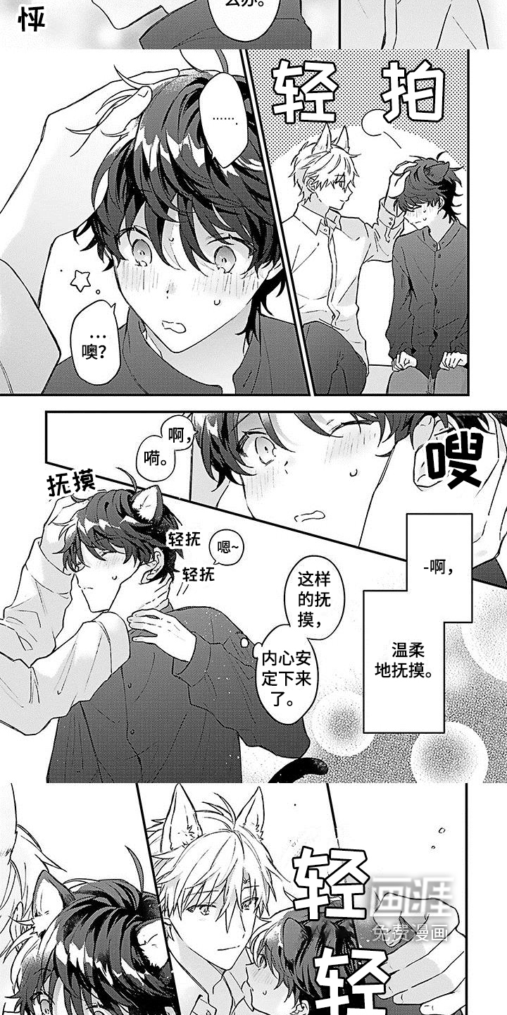 猫会梦见王子吗第5话图