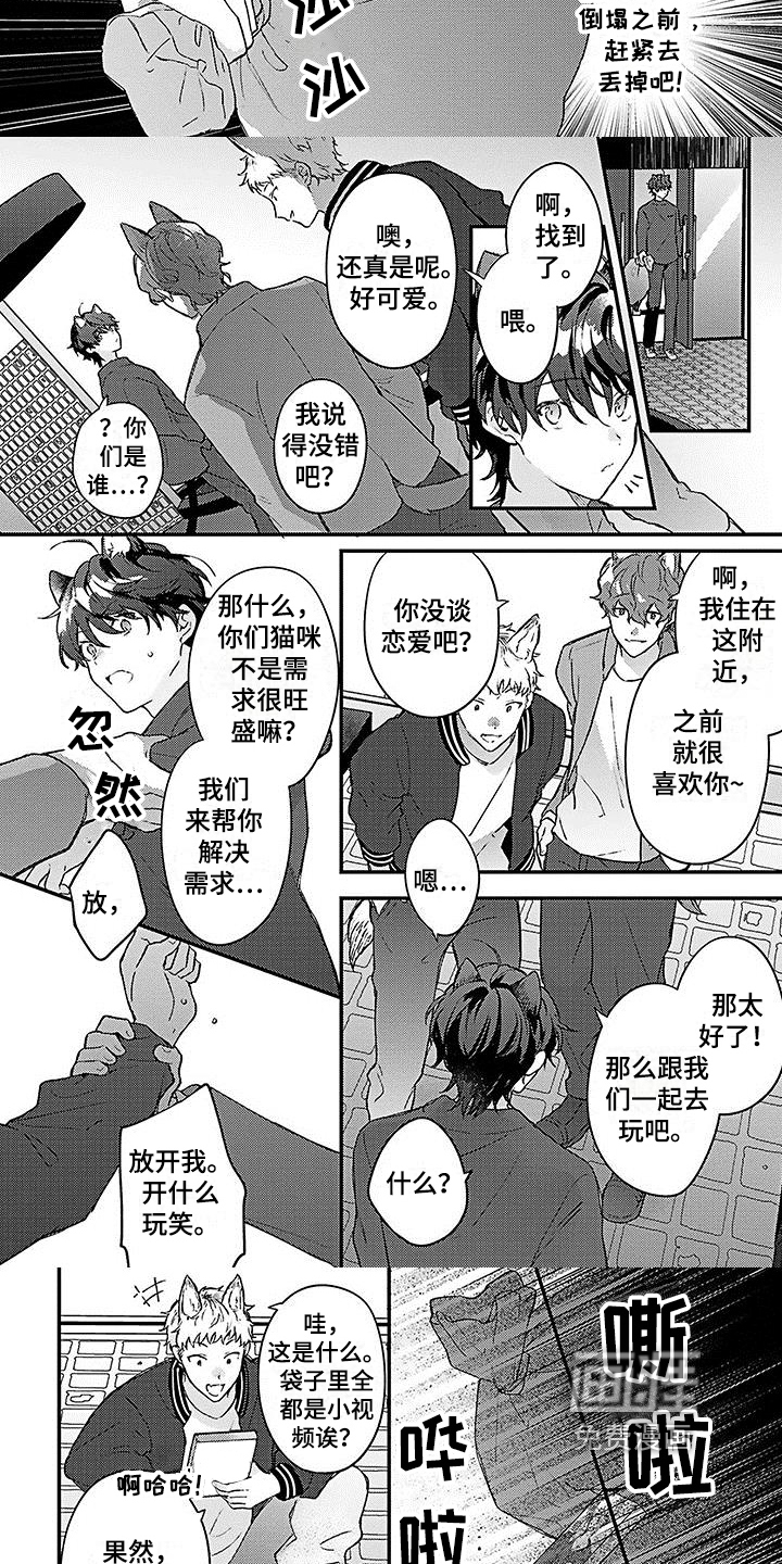 猫会梦见王子吗第7话图