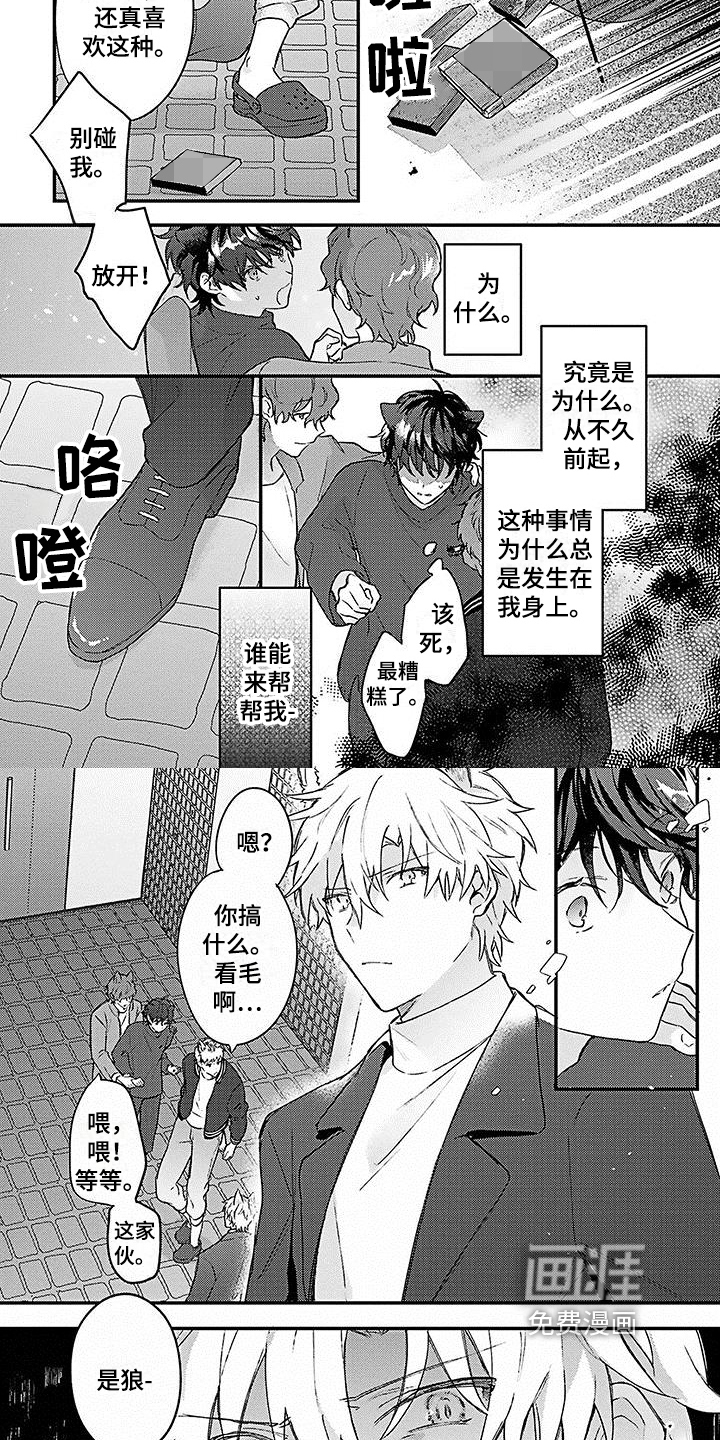 猫会梦见王子吗第7话图