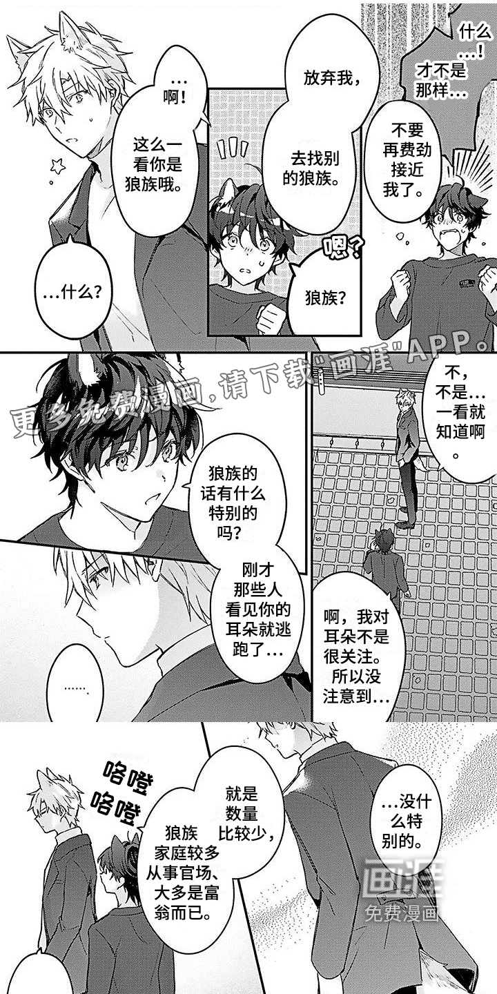 猫会梦见王子吗第9话图