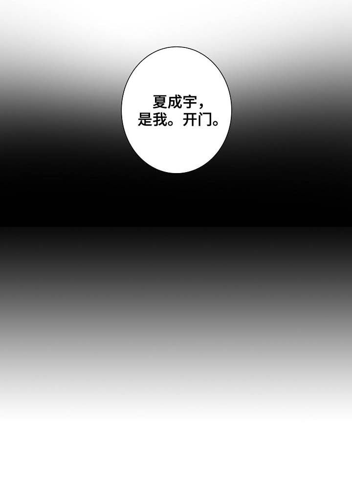 猫狗攻防战第45话图