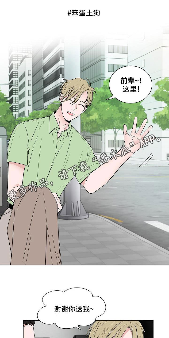 猫狗攻防战第49话图