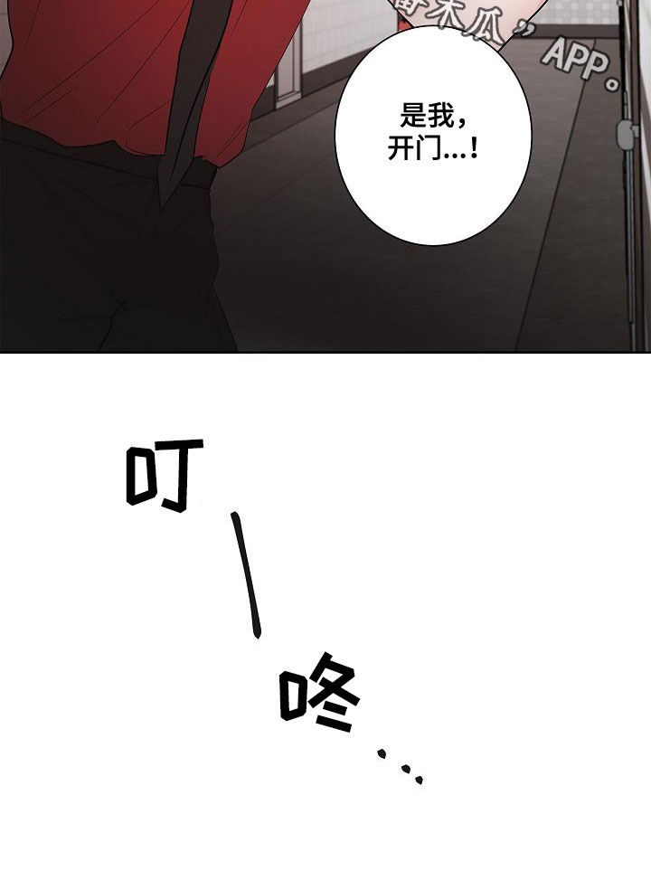猫狗攻防战第50话图