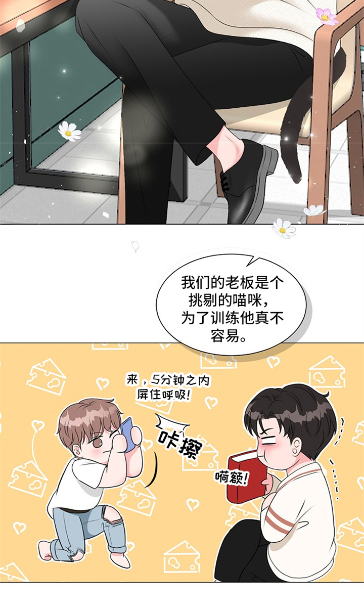 猫猫初体验第11话图