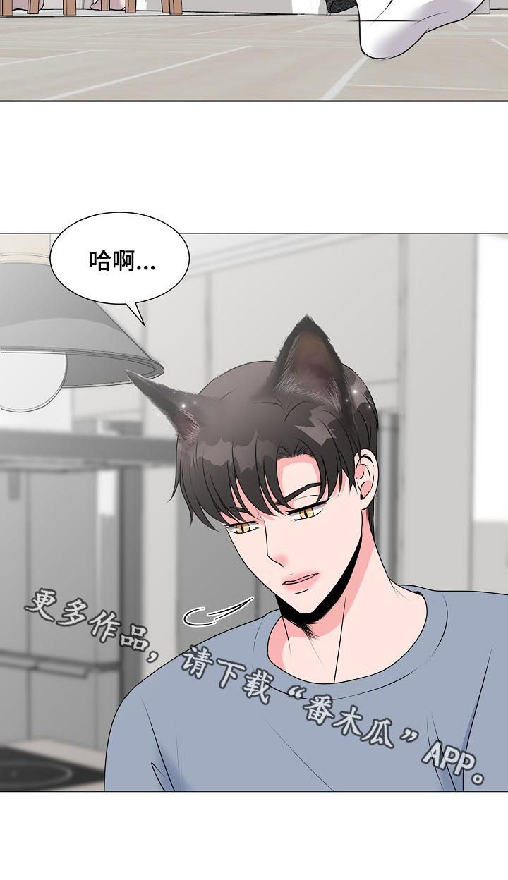 猫猫初体验第36话图