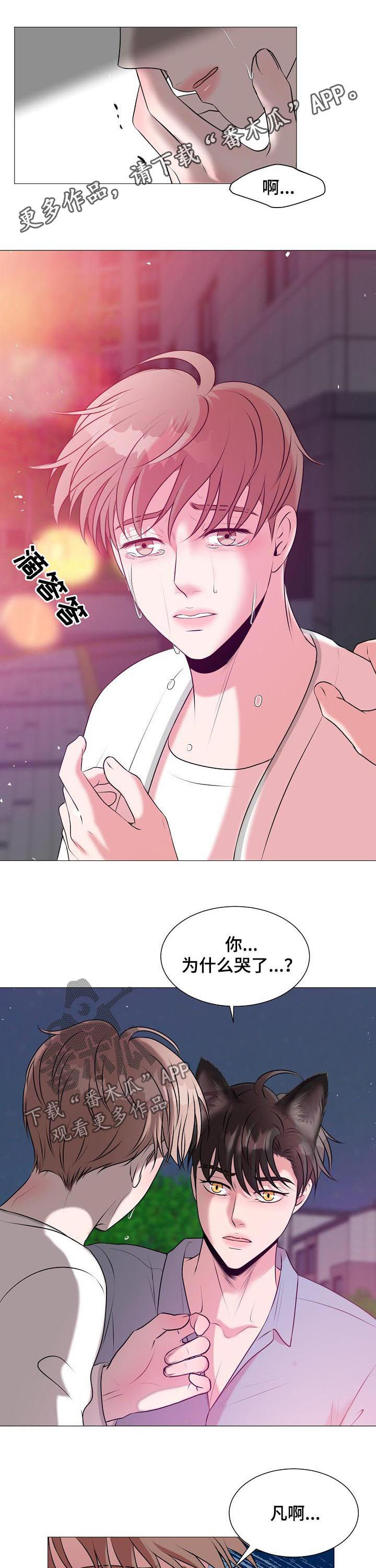 猫猫初体验第39话图