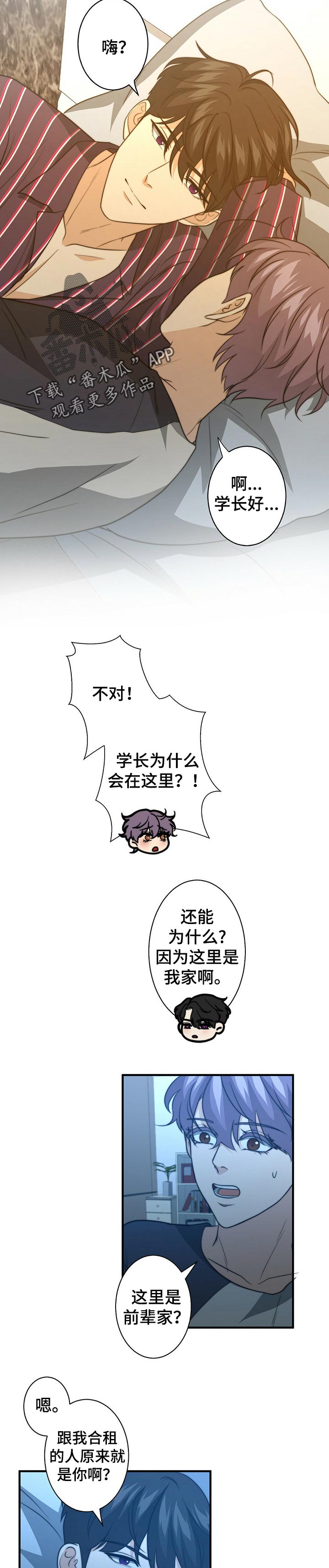 秘密配对第50话图