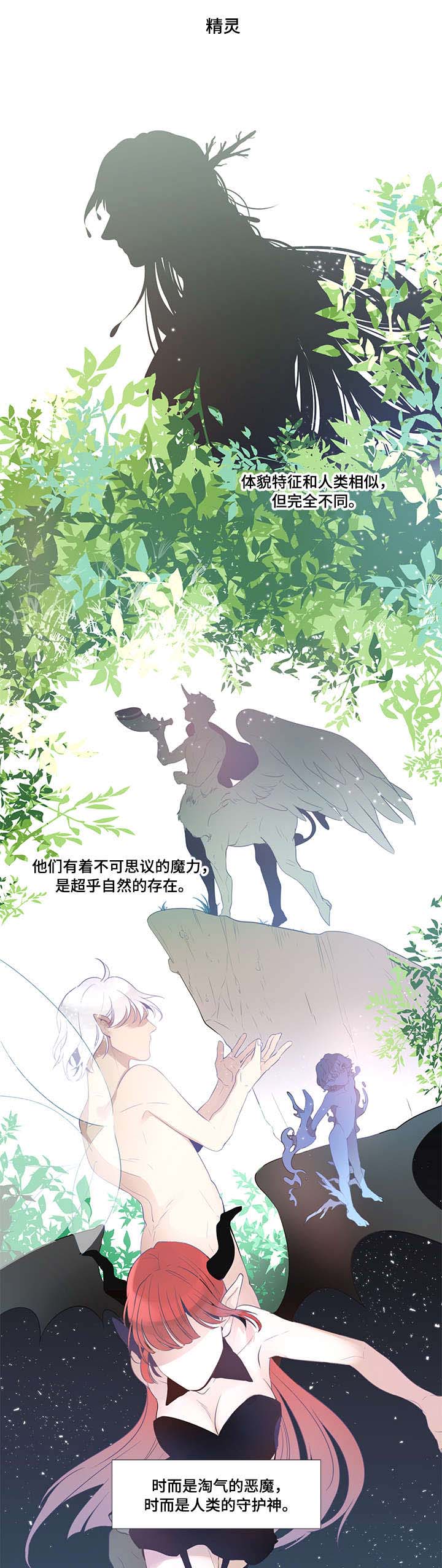 梦游精灵第1话图